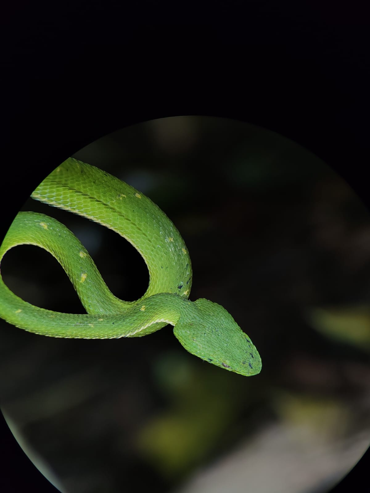 WhatsApp Image 2025-07-28 at 19.18.19 (1)