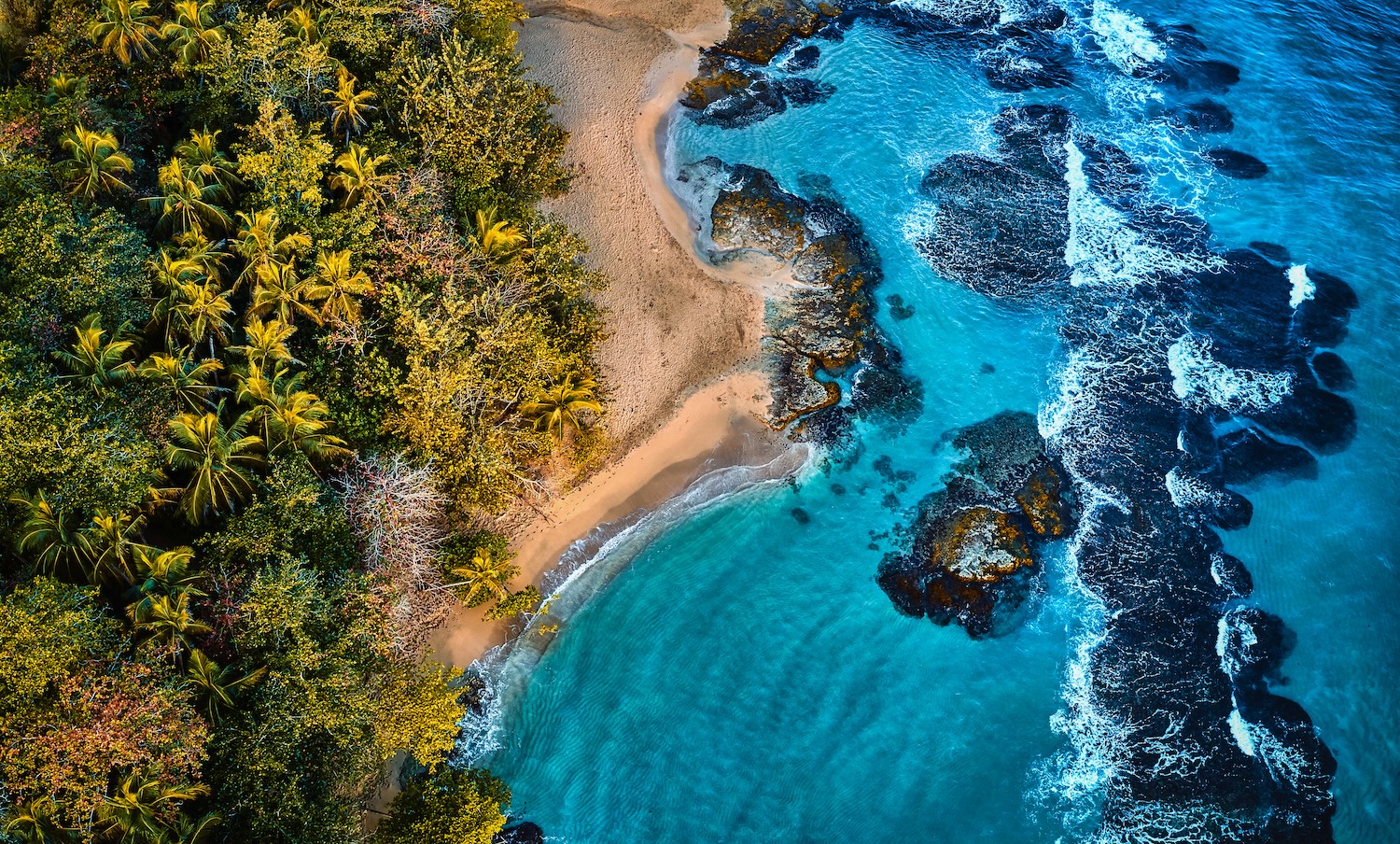Aerial drone photo of a blue tropical lagoon surrounded by white sand of an exotic beach and palm trees.
