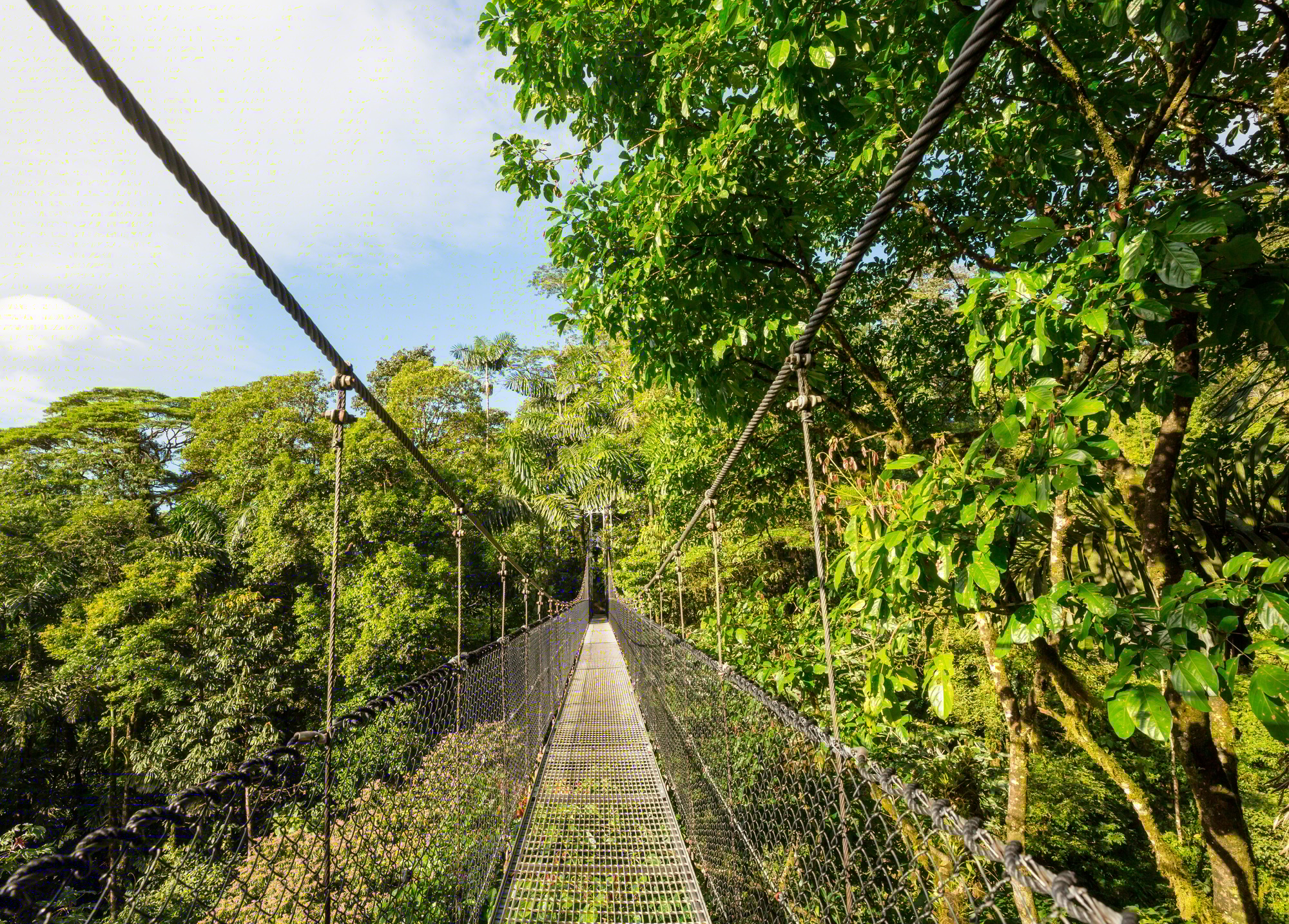 Bridge in Costa Rica