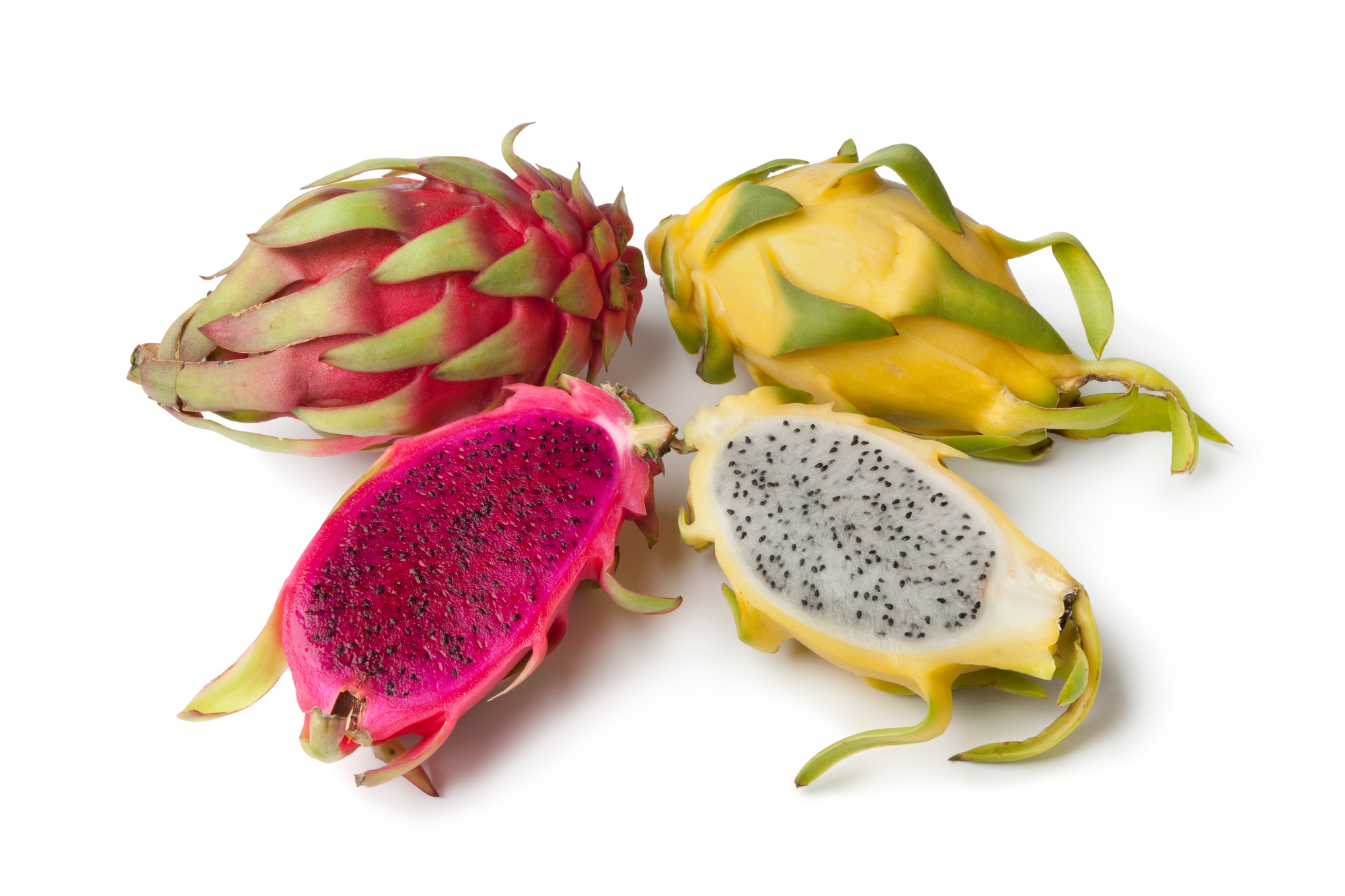 Gastronomía Costarricense: Sabores Auténticos de la Tierra